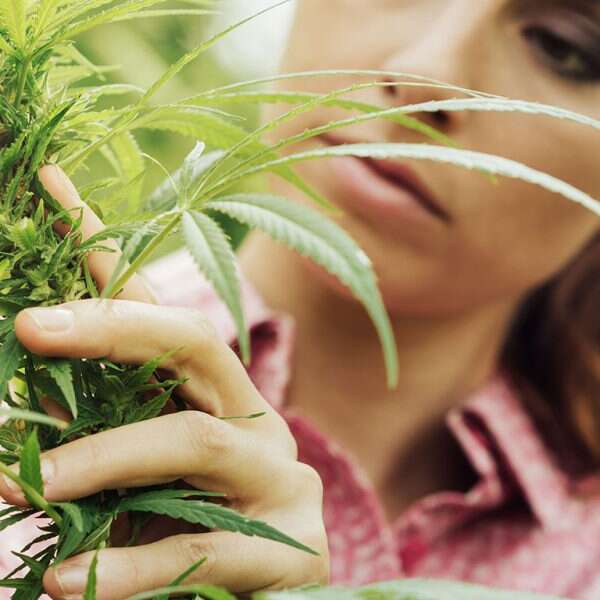 Lady Inspecting flower 360x408